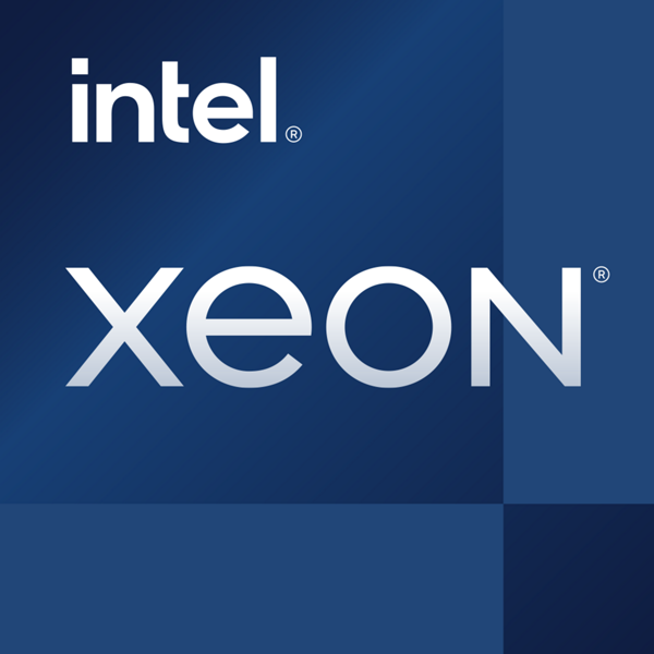 Intel Intel® Xeon® E-2324G (8M Cache, 3.10 GHz)