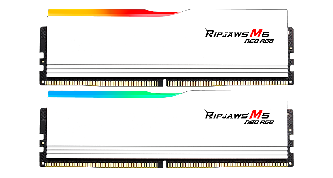 G.Skill Ripjaws M5 Neo RGB DDR5 32GB (2x16GB) 6000MT/s DIMM AMD EXPO — F5-6000J3636F16GX2-RM5NRW